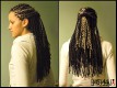 rasta4u-rasta018.jpg